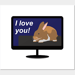 Sweet rabbit on television Posters and Art